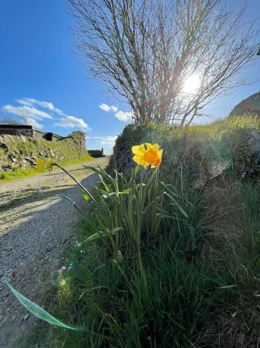 The Hut@Trefechan Wen - Coastal Coziness! Goodwick Экстерьер фото
